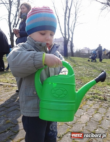 Zdjęcie w galerii na portalu naszraciborz.pl: Wsiadaj zimo na sanki i uciekaj już wiadomości z regionu