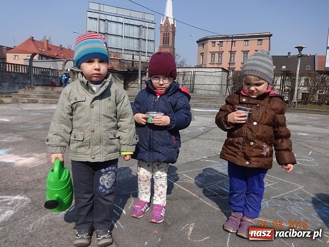 Zdjęcie w galerii na portalu naszraciborz.pl: Wsiadaj zimo na sanki i uciekaj już wiadomości z regionu