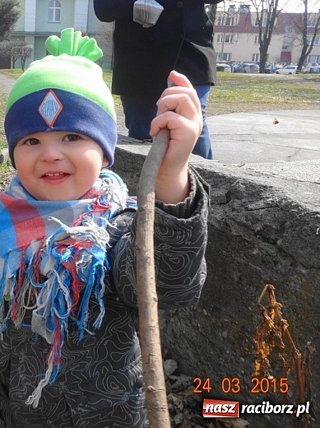 Zdjęcie w galerii na portalu naszraciborz.pl: Wsiadaj zimo na sanki i uciekaj już wiadomości z regionu