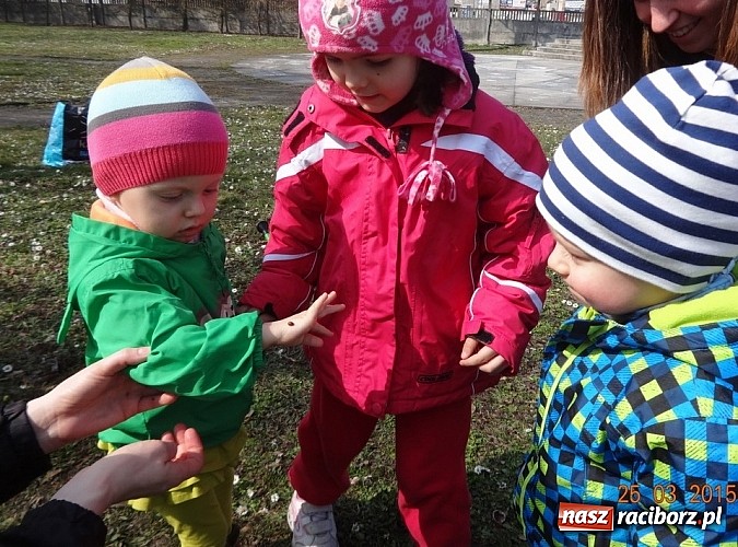 Zdjęcie w galerii na portalu naszraciborz.pl: Wsiadaj zimo na sanki i uciekaj już wiadomości z regionu