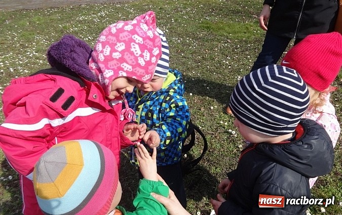 Zdjęcie w galerii na portalu naszraciborz.pl: Wsiadaj zimo na sanki i uciekaj już wiadomości z regionu