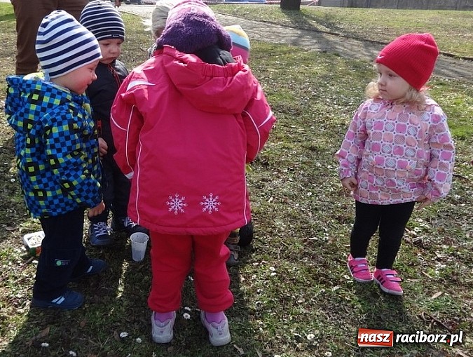 Zdjęcie w galerii na portalu naszraciborz.pl: Wsiadaj zimo na sanki i uciekaj już wiadomości z regionu