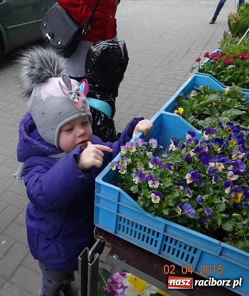 Zdjęcie w galerii na portalu naszraciborz.pl: Wsiadaj zimo na sanki i uciekaj już wiadomości z regionu