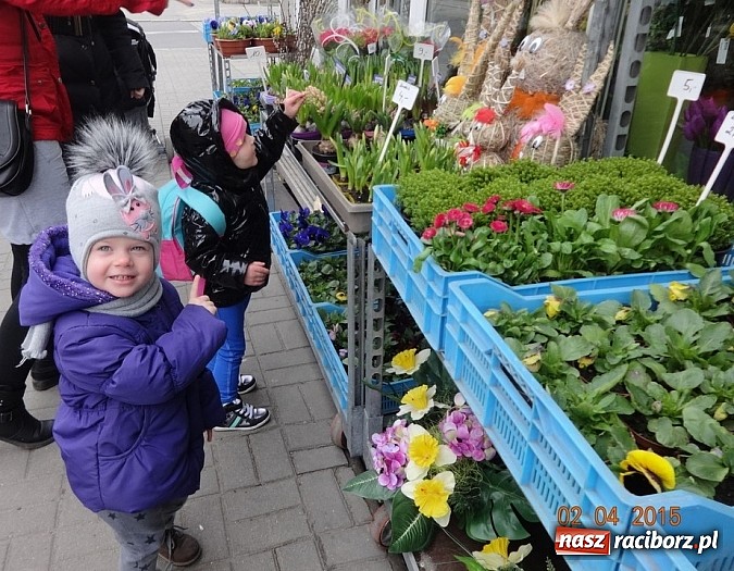Zdjęcie w galerii na portalu naszraciborz.pl: Wsiadaj zimo na sanki i uciekaj już wiadomości z regionu