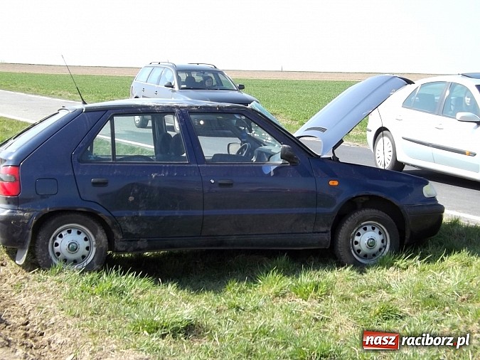 Zdjęcie w galerii na portalu naszraciborz.pl: 37-latka z tej skody miała 1,5 promila. Wiozła dwójkę dzieci. Samochód wypadł z jezdni na łuku drogi Krzanowice-Pietraszyn! wiadomości z regionu