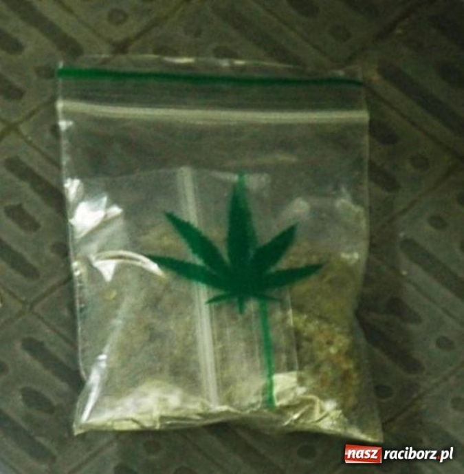 Zdjęcie w galerii na portalu naszraciborz.pl: Pogranicznicy złapali dealerów wiadomości z regionu