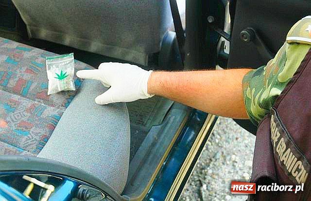 Zdjęcie w galerii na portalu naszraciborz.pl: Pogranicznicy złapali dealerów wiadomości z regionu