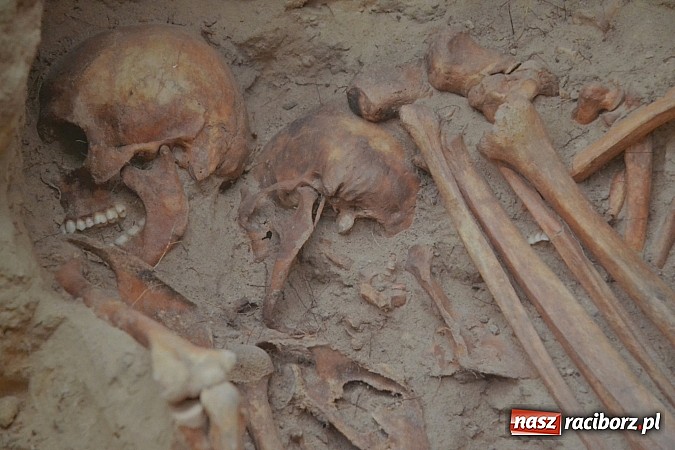 Zdjęcie w galerii na portalu naszraciborz.pl: 6. Przegląd Filmowy Echa Katynia, czyli spotkanie z historią na zamku wiadomości z regionu