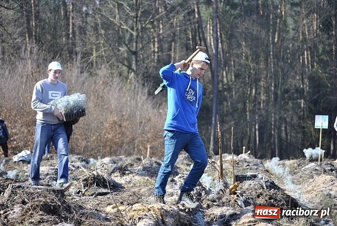Zdjęcie w galerii na portalu naszraciborz.pl: Rafako pomaga ziemi oddychać wiadomości z regionu