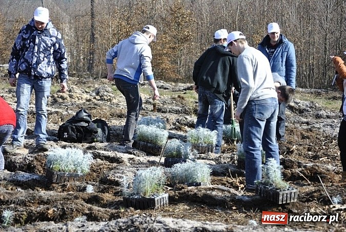Zdjęcie w galerii na portalu naszraciborz.pl: Rafako pomaga ziemi oddychać wiadomości z regionu