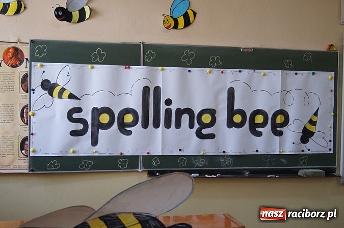 Zdjęcie w galerii na portalu naszraciborz.pl: Mistrzowie literowania spotkali się w Czw&oacute;rce wiadomości z regionu