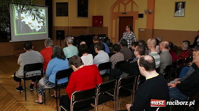 Zdjęcie w galerii na portalu naszraciborz.pl: Dlaczego zając znosi wielkanocne jaja?  wiadomości z regionu