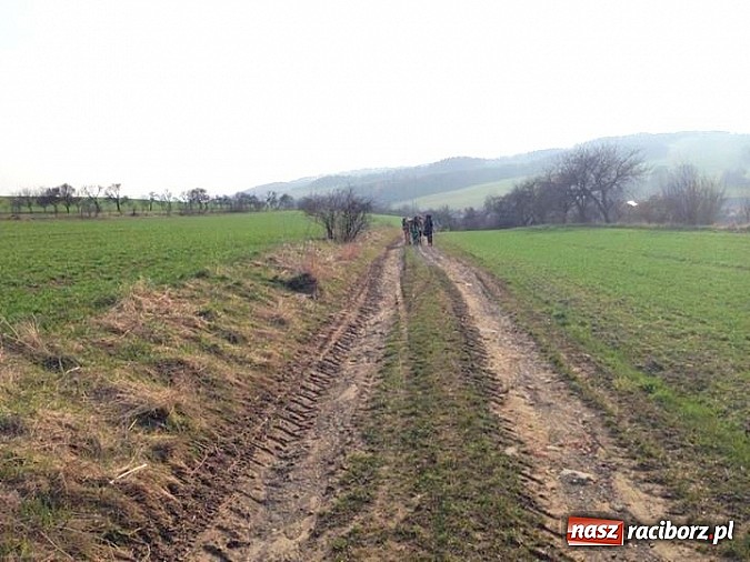Zdjęcie w galerii na portalu naszraciborz.pl: Harcerze z Raciborza i Wodzisławia na biwaku w Czechach wiadomości z regionu