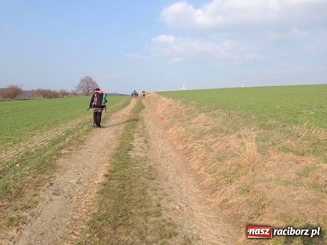 Zdjęcie w galerii na portalu naszraciborz.pl: Harcerze z Raciborza i Wodzisławia na biwaku w Czechach wiadomości z regionu