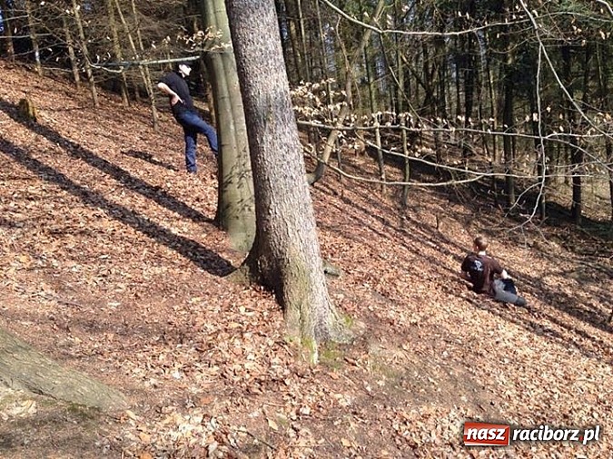 Zdjęcie w galerii na portalu naszraciborz.pl: Harcerze z Raciborza i Wodzisławia na biwaku w Czechach wiadomości z regionu