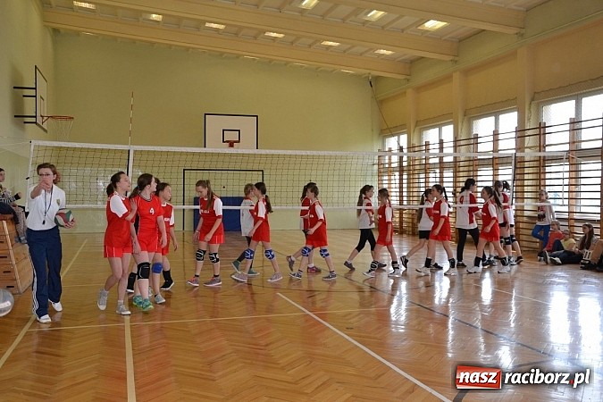 Zdjęcie w galerii na portalu naszraciborz.pl: Finał zawod&oacute;w rejonowych w mini siatk&oacute;wce dziewcząt w Krzyżanowicach wiadomości z regionu