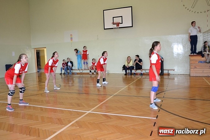 Zdjęcie w galerii na portalu naszraciborz.pl: Finał zawod&oacute;w rejonowych w mini siatk&oacute;wce dziewcząt w Krzyżanowicach wiadomości z regionu
