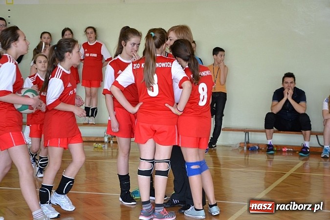 Zdjęcie w galerii na portalu naszraciborz.pl: Finał zawod&oacute;w rejonowych w mini siatk&oacute;wce dziewcząt w Krzyżanowicach wiadomości z regionu