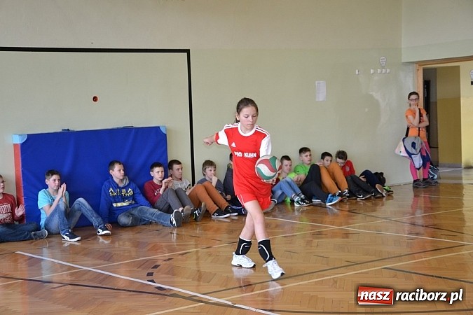 Zdjęcie w galerii na portalu naszraciborz.pl: Finał zawod&oacute;w rejonowych w mini siatk&oacute;wce dziewcząt w Krzyżanowicach wiadomości z regionu