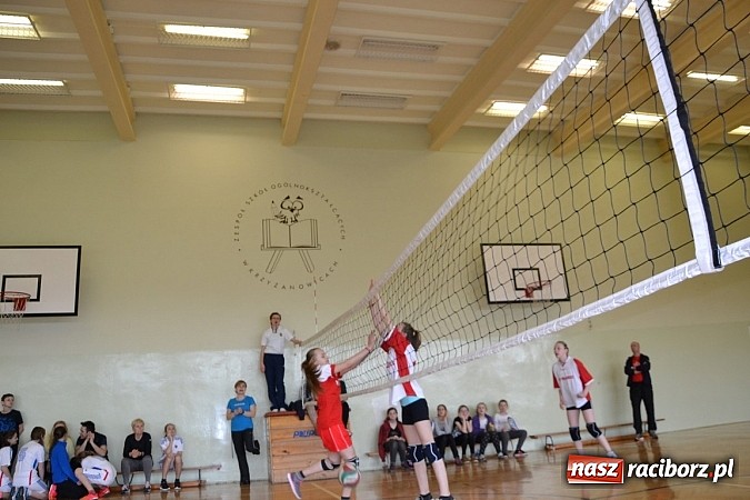Zdjęcie w galerii na portalu naszraciborz.pl: Finał zawod&oacute;w rejonowych w mini siatk&oacute;wce dziewcząt w Krzyżanowicach wiadomości z regionu