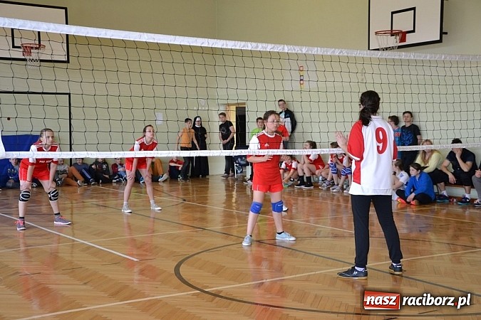 Zdjęcie w galerii na portalu naszraciborz.pl: Finał zawod&oacute;w rejonowych w mini siatk&oacute;wce dziewcząt w Krzyżanowicach wiadomości z regionu