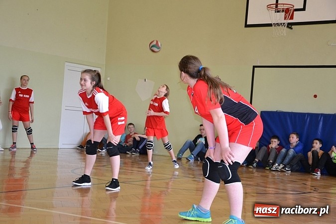 Zdjęcie w galerii na portalu naszraciborz.pl: Finał zawod&oacute;w rejonowych w mini siatk&oacute;wce dziewcząt w Krzyżanowicach wiadomości z regionu