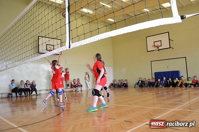 Zdjęcie w galerii na portalu naszraciborz.pl: Finał zawod&oacute;w rejonowych w mini siatk&oacute;wce dziewcząt w Krzyżanowicach wiadomości z regionu