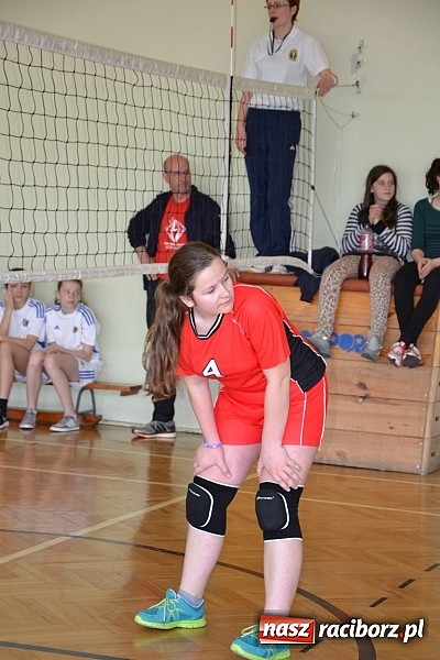 Zdjęcie w galerii na portalu naszraciborz.pl: Finał zawod&oacute;w rejonowych w mini siatk&oacute;wce dziewcząt w Krzyżanowicach wiadomości z regionu