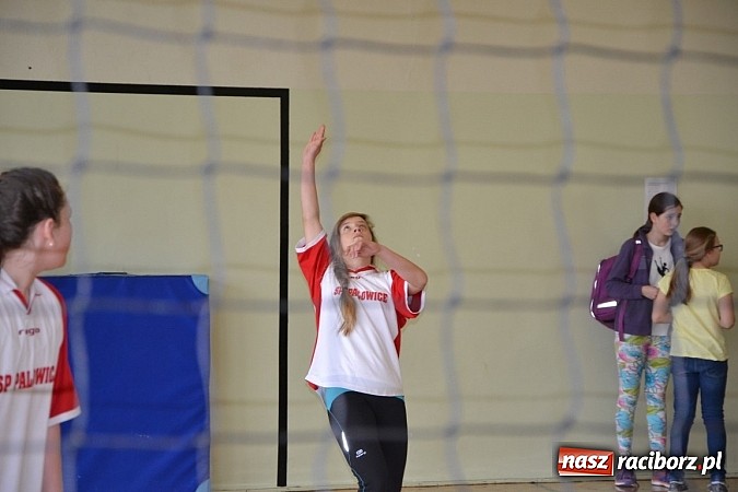 Zdjęcie w galerii na portalu naszraciborz.pl: Finał zawod&oacute;w rejonowych w mini siatk&oacute;wce dziewcząt w Krzyżanowicach wiadomości z regionu