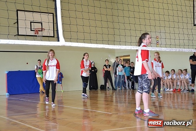 Zdjęcie w galerii na portalu naszraciborz.pl: Finał zawod&oacute;w rejonowych w mini siatk&oacute;wce dziewcząt w Krzyżanowicach wiadomości z regionu
