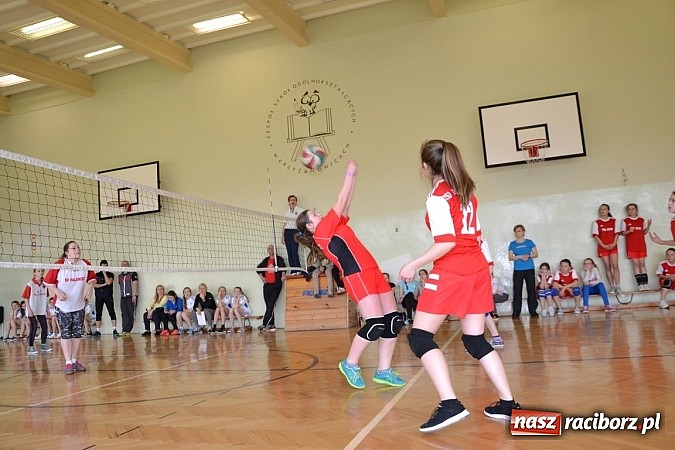 Zdjęcie w galerii na portalu naszraciborz.pl: Finał zawod&oacute;w rejonowych w mini siatk&oacute;wce dziewcząt w Krzyżanowicach wiadomości z regionu