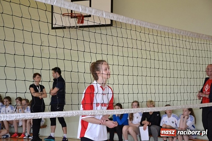 Zdjęcie w galerii na portalu naszraciborz.pl: Finał zawod&oacute;w rejonowych w mini siatk&oacute;wce dziewcząt w Krzyżanowicach wiadomości z regionu