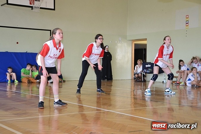 Zdjęcie w galerii na portalu naszraciborz.pl: Finał zawod&oacute;w rejonowych w mini siatk&oacute;wce dziewcząt w Krzyżanowicach wiadomości z regionu
