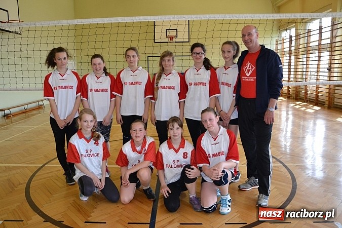 Zdjęcie w galerii na portalu naszraciborz.pl: Finał zawod&oacute;w rejonowych w mini siatk&oacute;wce dziewcząt w Krzyżanowicach wiadomości z regionu