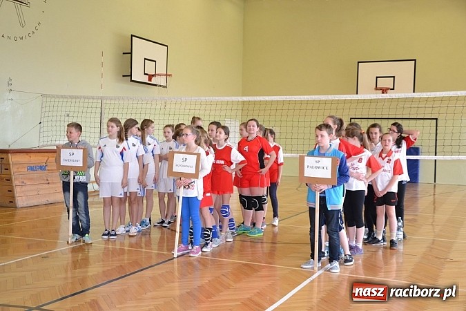 Zdjęcie w galerii na portalu naszraciborz.pl: Finał zawod&oacute;w rejonowych w mini siatk&oacute;wce dziewcząt w Krzyżanowicach wiadomości z regionu