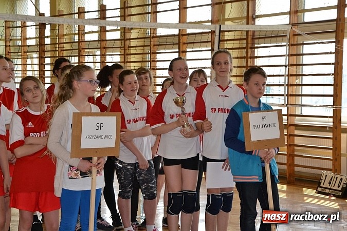 Zdjęcie w galerii na portalu naszraciborz.pl: Finał zawod&oacute;w rejonowych w mini siatk&oacute;wce dziewcząt w Krzyżanowicach wiadomości z regionu