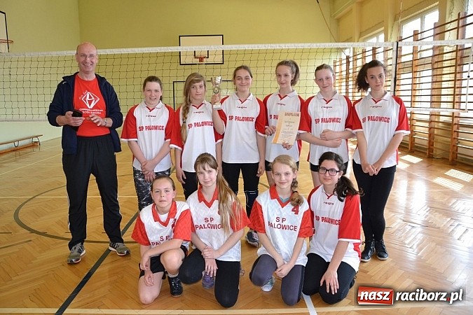 Zdjęcie w galerii na portalu naszraciborz.pl: Finał zawod&oacute;w rejonowych w mini siatk&oacute;wce dziewcząt w Krzyżanowicach wiadomości z regionu