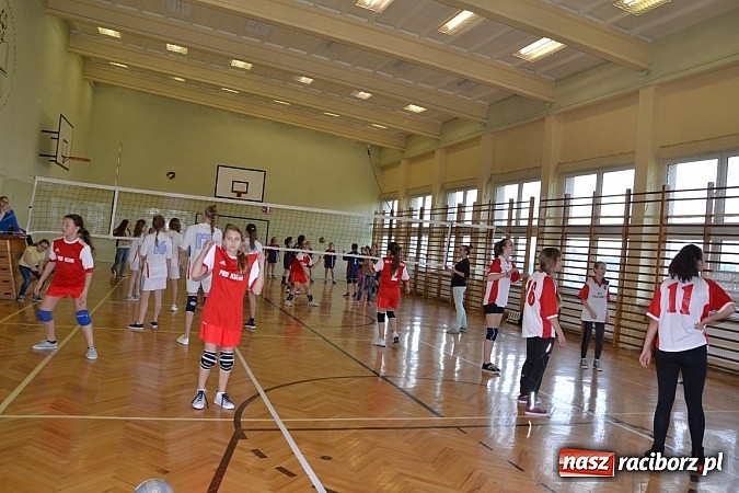 Zdjęcie w galerii na portalu naszraciborz.pl: Finał zawod&oacute;w rejonowych w mini siatk&oacute;wce dziewcząt w Krzyżanowicach wiadomości z regionu