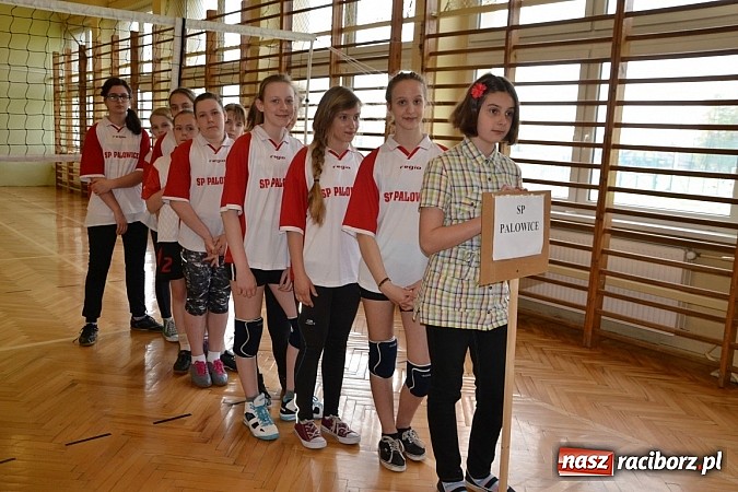 Zdjęcie w galerii na portalu naszraciborz.pl: Finał zawod&oacute;w rejonowych w mini siatk&oacute;wce dziewcząt w Krzyżanowicach wiadomości z regionu