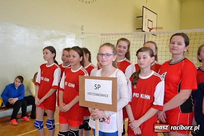 Zdjęcie w galerii na portalu naszraciborz.pl: Finał zawod&oacute;w rejonowych w mini siatk&oacute;wce dziewcząt w Krzyżanowicach wiadomości z regionu