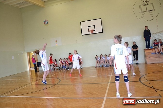 Zdjęcie w galerii na portalu naszraciborz.pl: Finał zawod&oacute;w rejonowych w mini siatk&oacute;wce dziewcząt w Krzyżanowicach wiadomości z regionu
