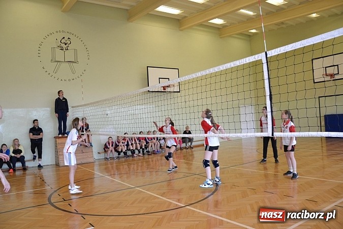Zdjęcie w galerii na portalu naszraciborz.pl: Finał zawod&oacute;w rejonowych w mini siatk&oacute;wce dziewcząt w Krzyżanowicach wiadomości z regionu