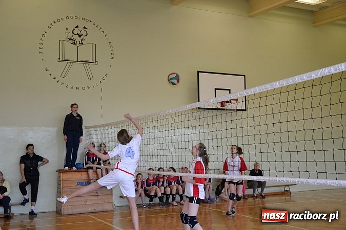 Zdjęcie w galerii na portalu naszraciborz.pl: Finał zawod&oacute;w rejonowych w mini siatk&oacute;wce dziewcząt w Krzyżanowicach wiadomości z regionu