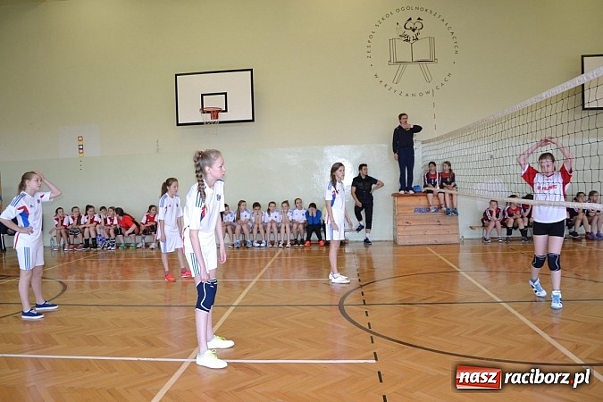 Zdjęcie w galerii na portalu naszraciborz.pl: Finał zawod&oacute;w rejonowych w mini siatk&oacute;wce dziewcząt w Krzyżanowicach wiadomości z regionu