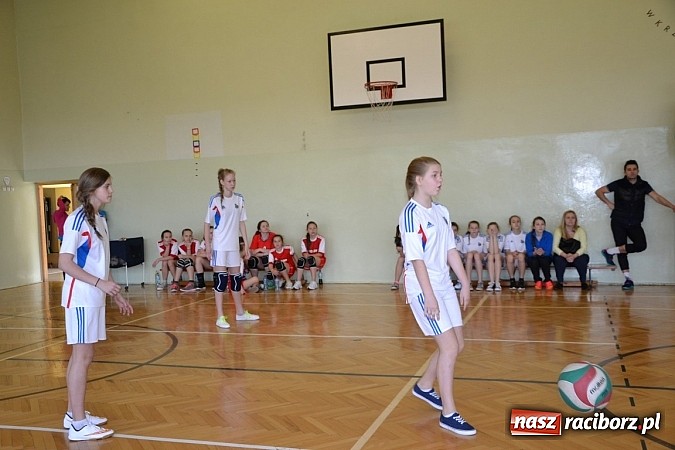 Zdjęcie w galerii na portalu naszraciborz.pl: Finał zawod&oacute;w rejonowych w mini siatk&oacute;wce dziewcząt w Krzyżanowicach wiadomości z regionu