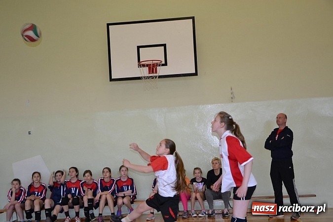 Zdjęcie w galerii na portalu naszraciborz.pl: Finał zawod&oacute;w rejonowych w mini siatk&oacute;wce dziewcząt w Krzyżanowicach wiadomości z regionu