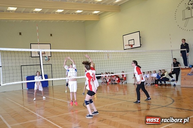 Zdjęcie w galerii na portalu naszraciborz.pl: Finał zawod&oacute;w rejonowych w mini siatk&oacute;wce dziewcząt w Krzyżanowicach wiadomości z regionu
