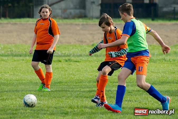 Zdjęcie w galerii na portalu naszraciborz.pl: Młodziki Grzegorzowic zdobyły Zameczek wiadomości z regionu