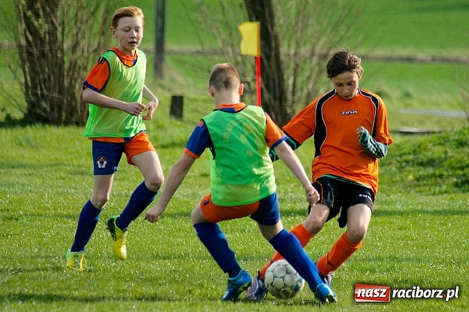 Zdjęcie w galerii na portalu naszraciborz.pl: Młodziki Grzegorzowic zdobyły Zameczek wiadomości z regionu