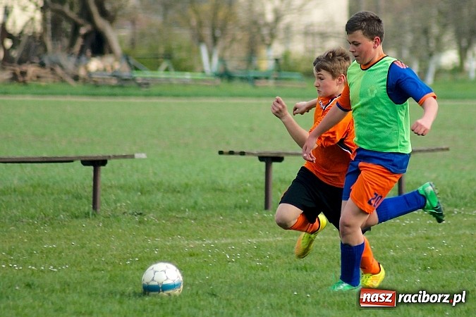 Zdjęcie w galerii na portalu naszraciborz.pl: Młodziki Grzegorzowic zdobyły Zameczek wiadomości z regionu